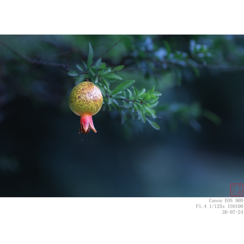 生态小品