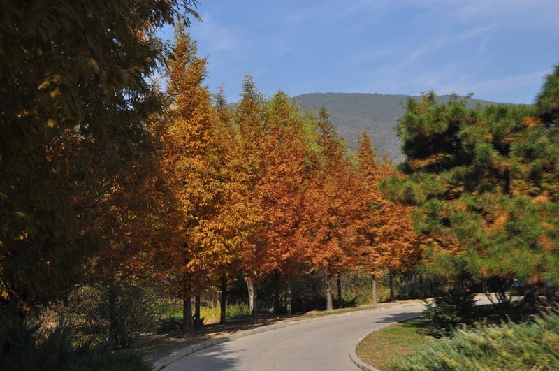 香山植物园（北京）