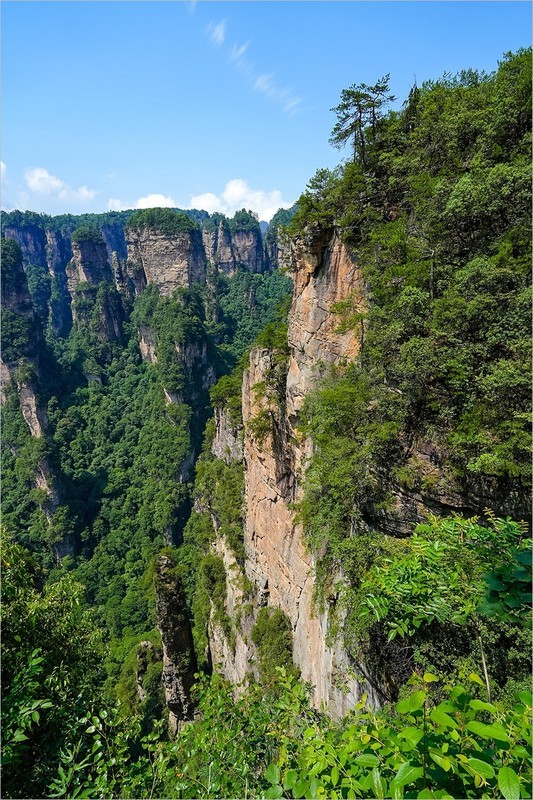 2026年第0507贴 -张家界风光旅拍（0725）