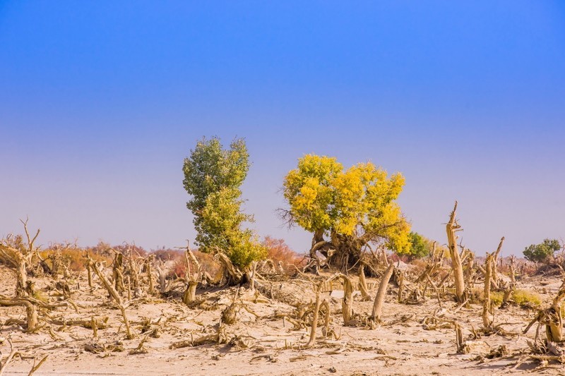 外出随拍（625）.