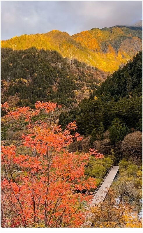 2026年- 九寨沟风光纪实抓拍-0299