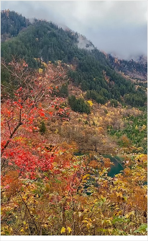 2026年- 九寨沟风光纪实抓拍-0298