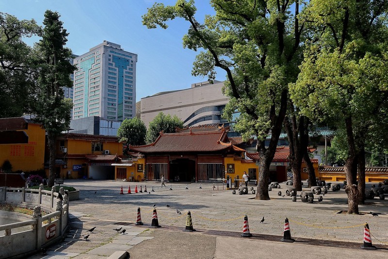 宝通寺四
