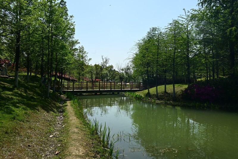 神山春色（续1）