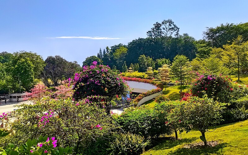 [26132] 云萝植物园（5）