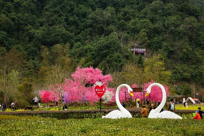 春节广西游--靖西鹅泉之三