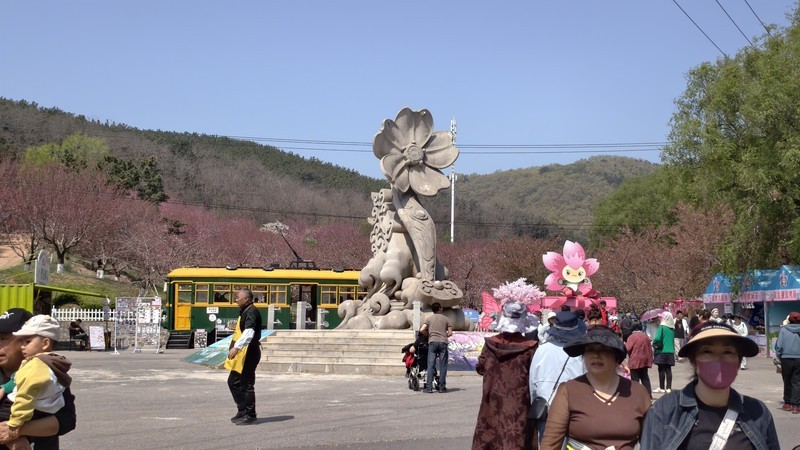 花 开 时 节 动 滨 城