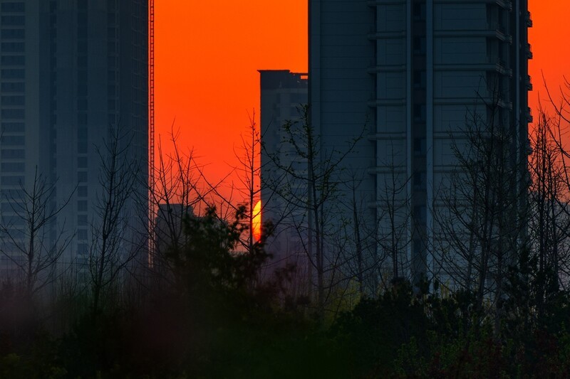 郊外的早晨—(续)
