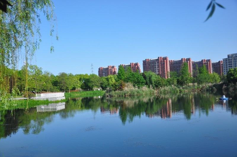 湿地漫步（续1）