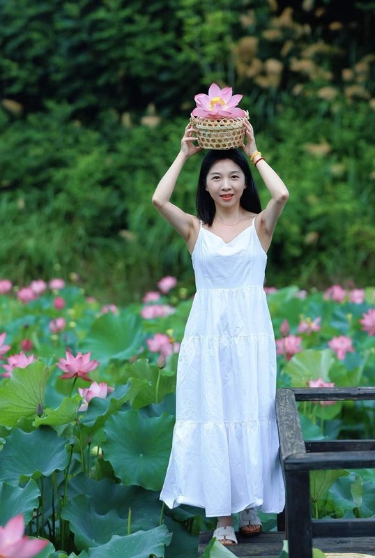 夏荷