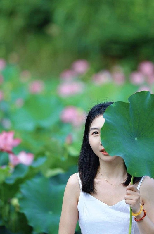 夏荷
