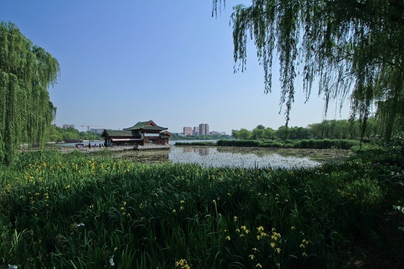 仲春——明湖风光