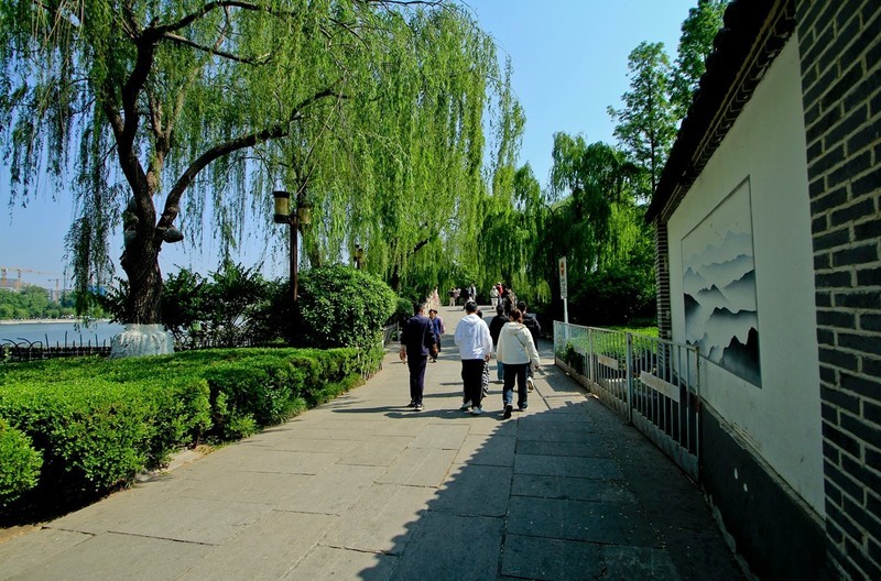 仲春——明湖风光