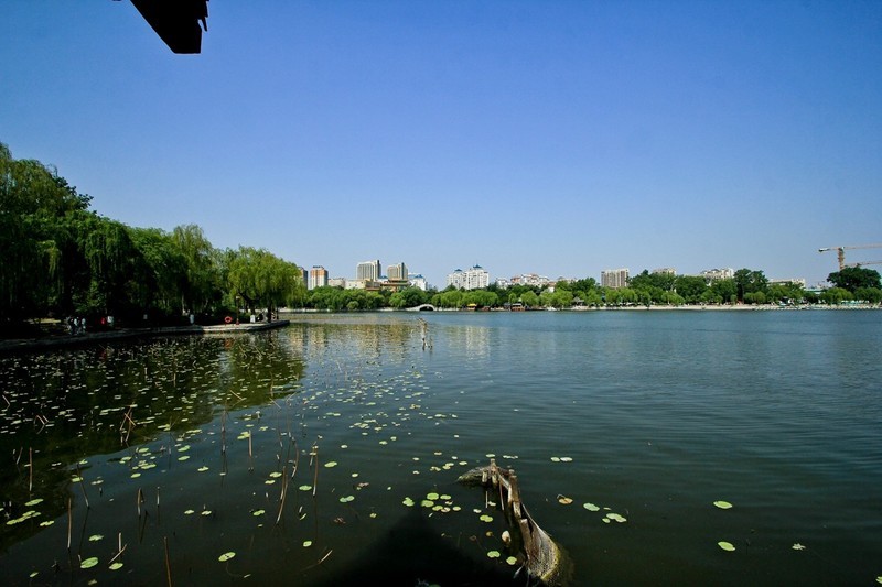 仲春——明湖风光