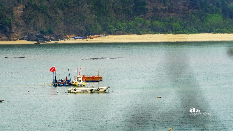 广西行——涠洲岛看海（15）