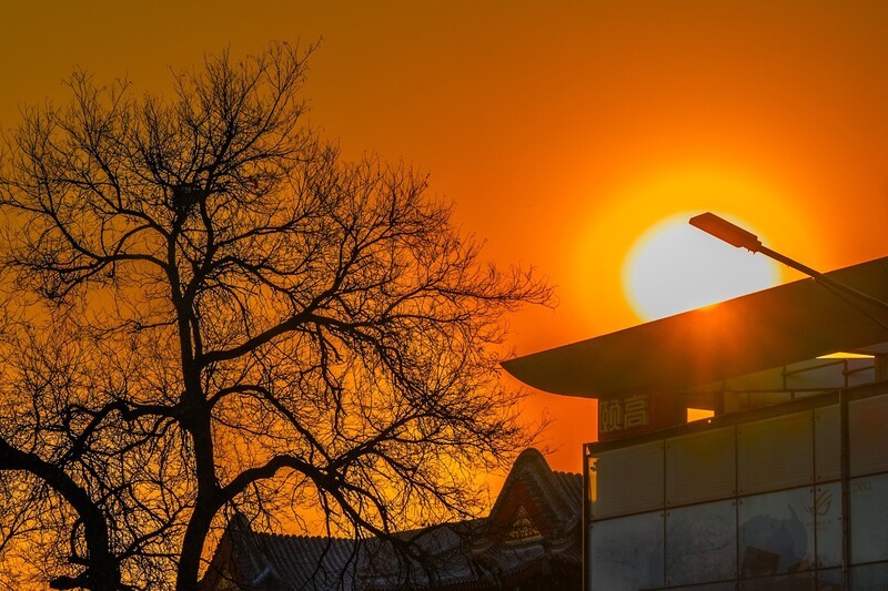 旭日东升鸟飞翔