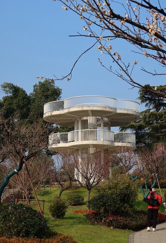 武汉梅花园（十一）