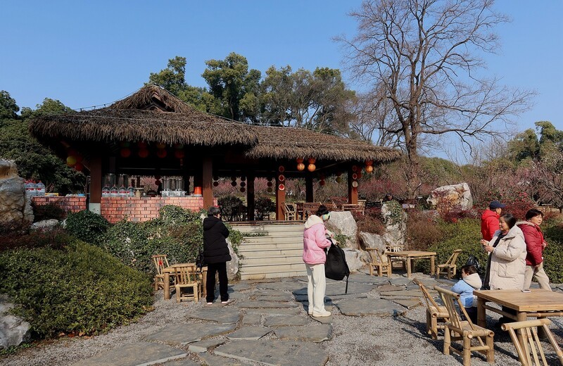 武汉梅花园（十一）