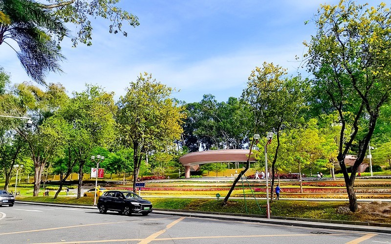 [26134] 麓湖公园的路边