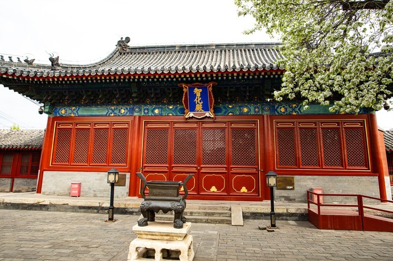 智华寺梨花之一