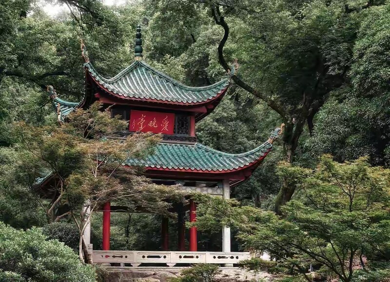岳麓山上