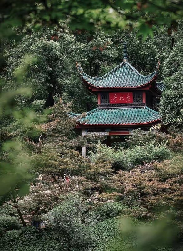 岳麓山上
