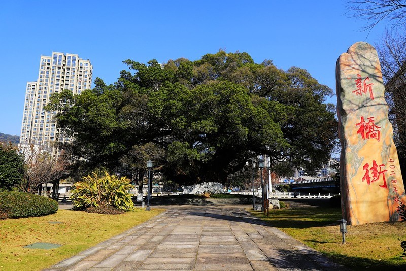 温州古榕春晓公园