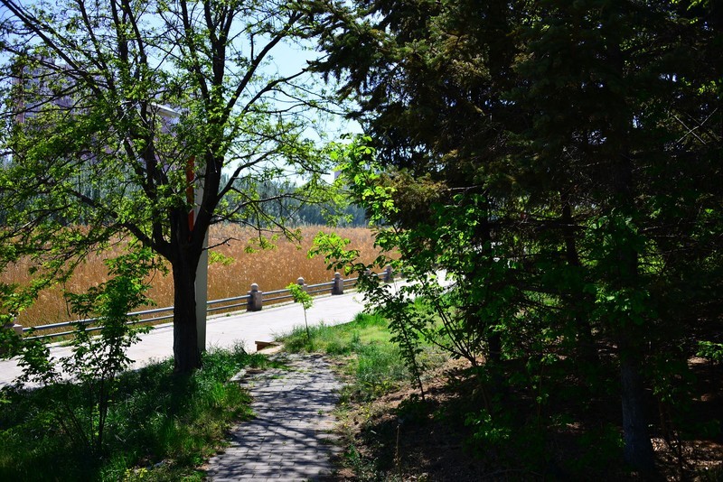 明天立夏，赶紧抓住春天的小尾巴