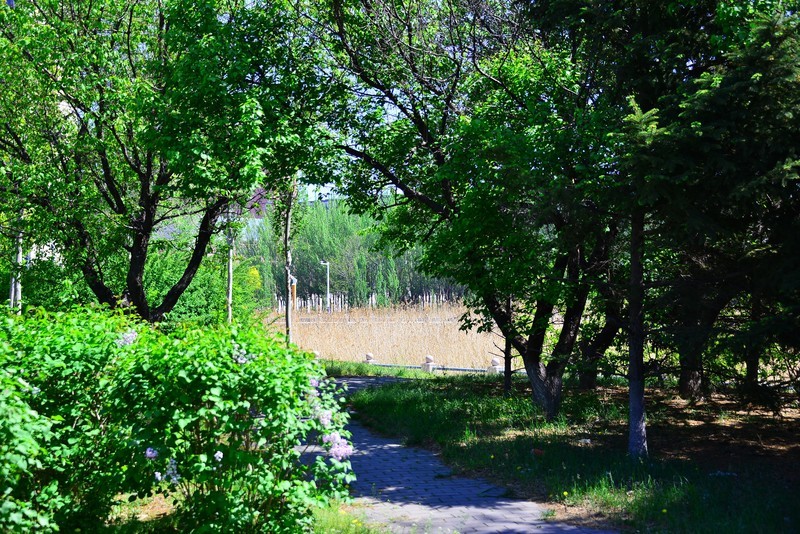 明天立夏，赶紧抓住春天的小尾巴