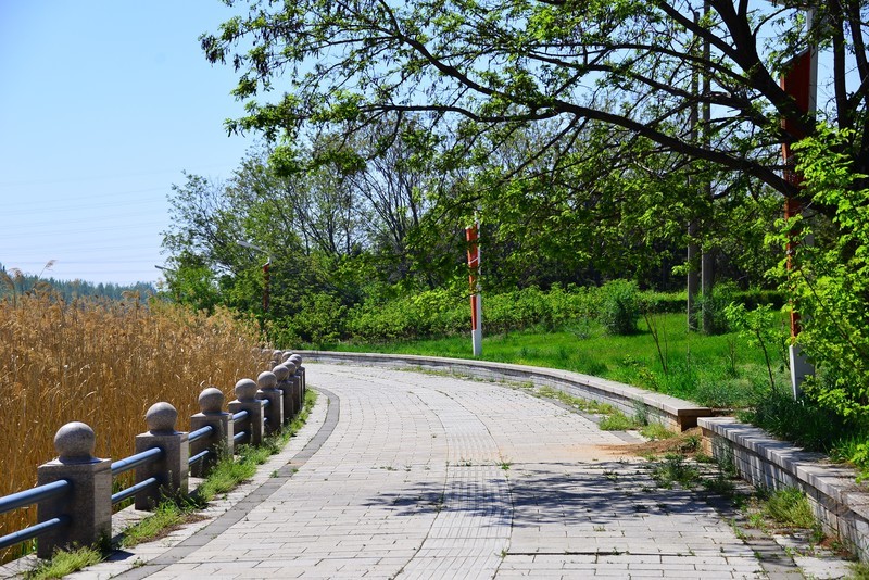 明天立夏，赶紧抓住春天的小尾巴