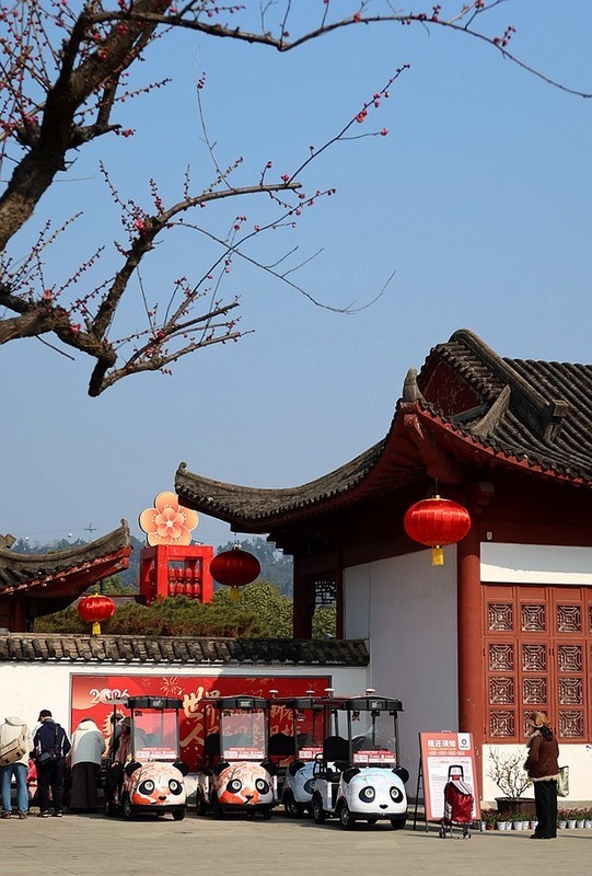 武汉梅花园（十二）