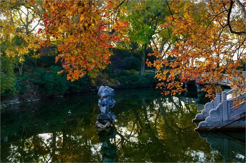 2026年第0092贴-无锡鼋头渚纪实游拍（0201）