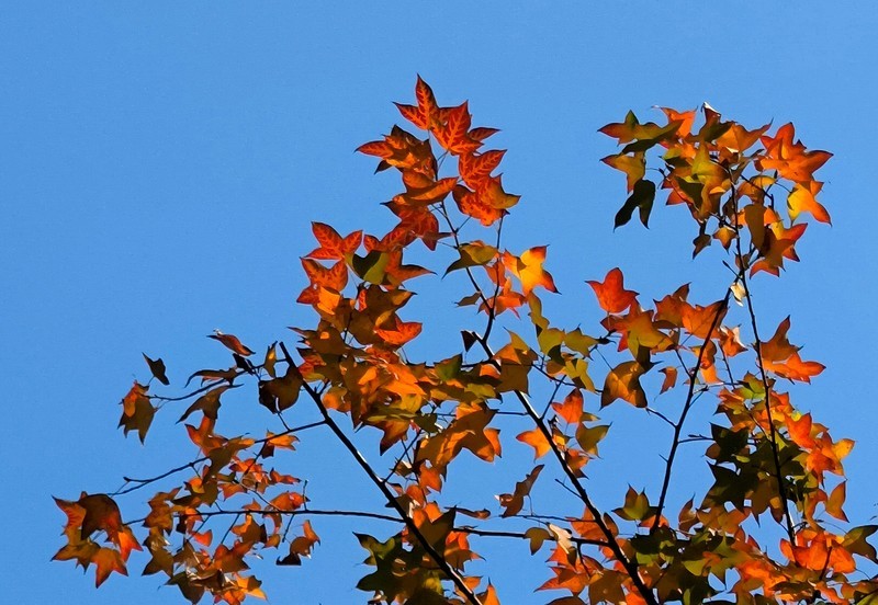省图书馆的外景。