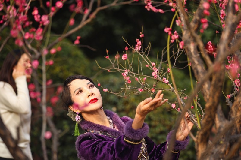 沙湾公园梅园人像