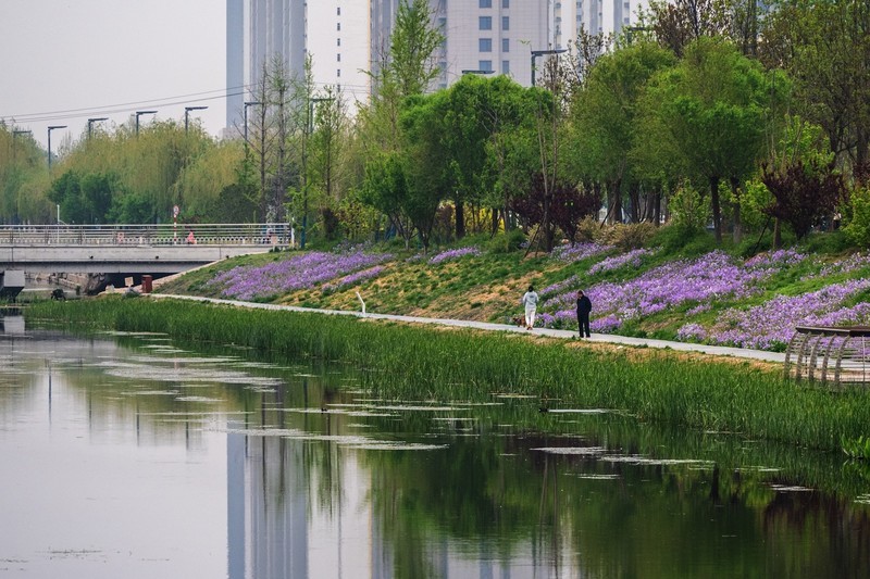 河边春景
