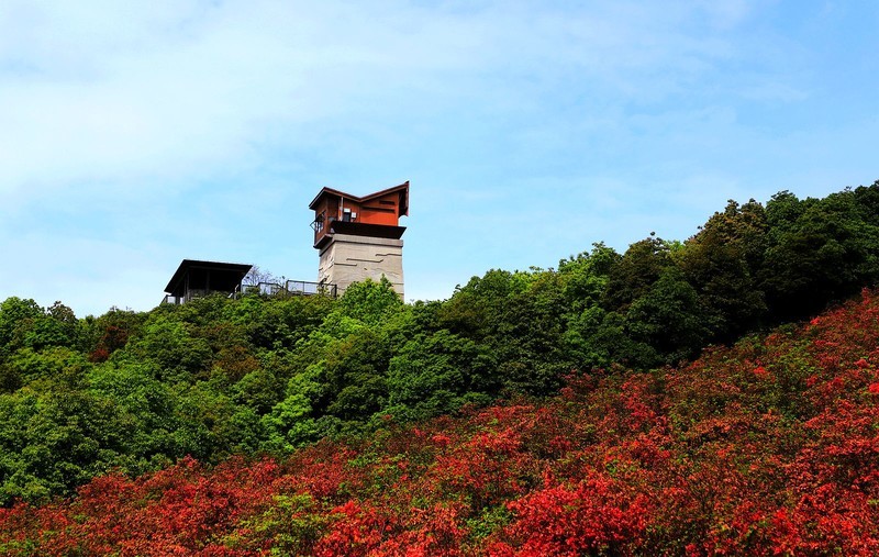 瑞安马屿圣井山 (5)