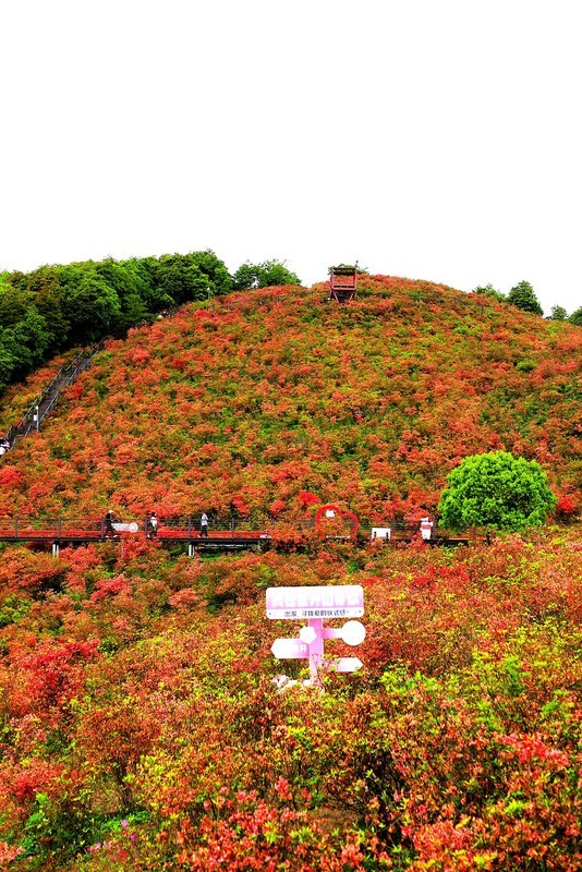 瑞安马屿圣井山 (5)