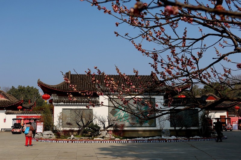 武汉梅花园（十五）