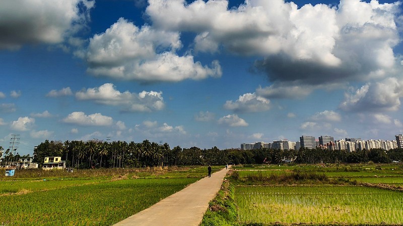 琼海田园风光