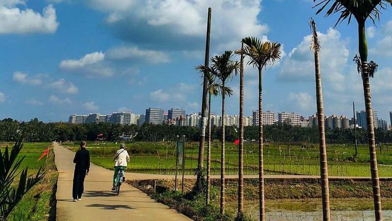 琼海田园风光
