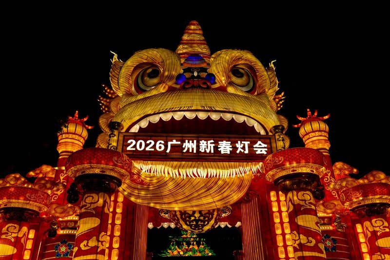 夜拍新春灯会-2