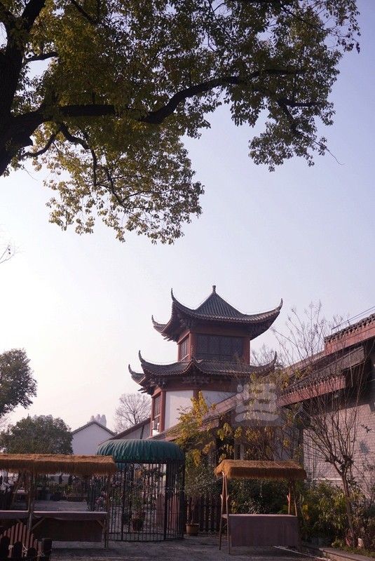 码头潭公园2——武汉随笔