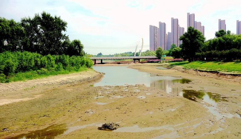 河水断流