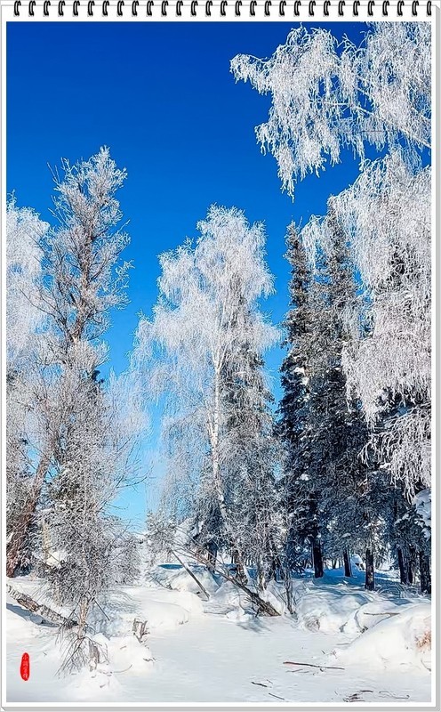 2026年-喀纳斯河纪实抓拍-0104