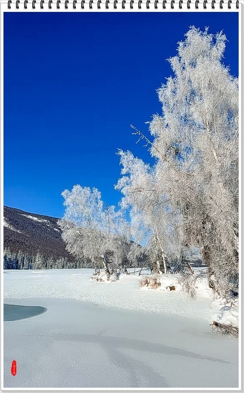 2026年-喀纳斯河纪实抓拍-0105