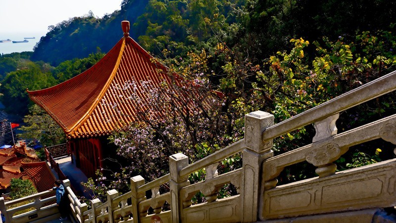 游天后宫随拍（6）