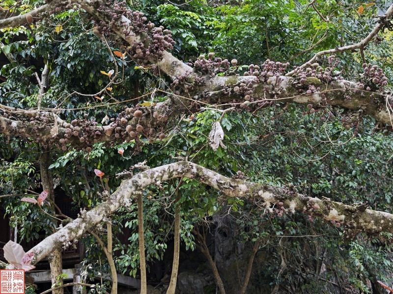 2025.3.22三门海游（22)