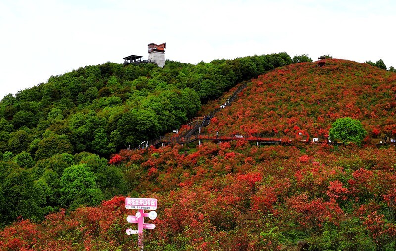 瑞安马屿圣井山 (8)