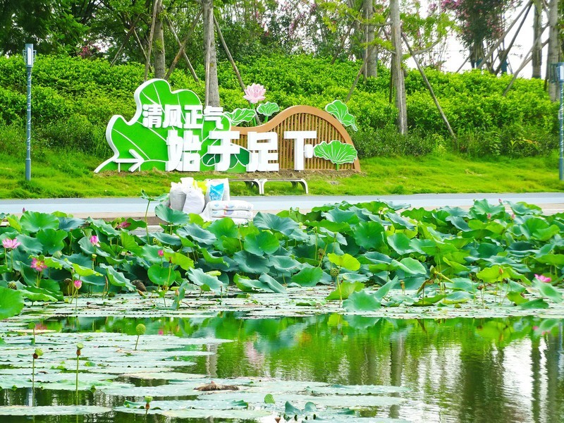 【今日立秋】走进广汉三星湖