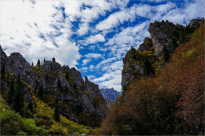 2026年第0104贴-甘南行风光纪实旅拍（0206）